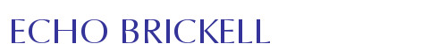 ECHO BRICKELL