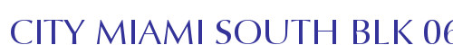 CITY MIAMI SOUTH BLK 060