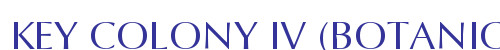 KEY COLONY IV (BOTANICA)