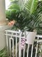 Palm island, condo for sale in Miami beach
