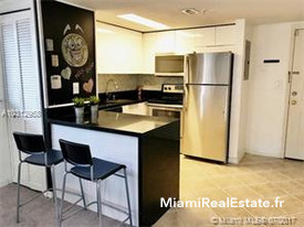 BRICKELL TERRACE CONDO